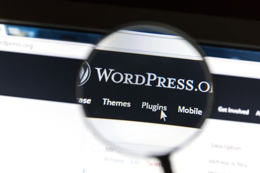 L'archivio demo di WordPress